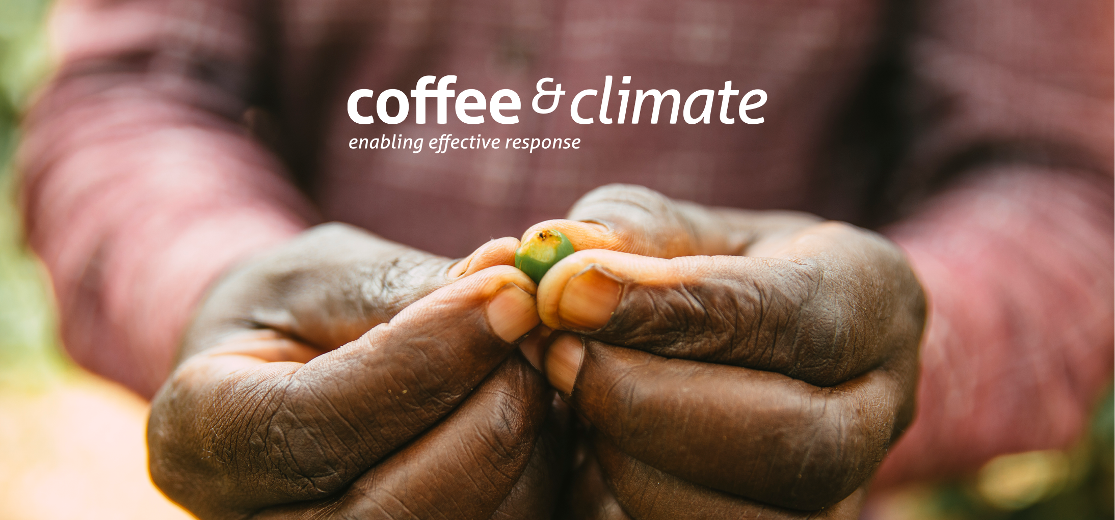 coffee&climate